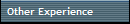 Other Experience
