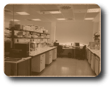 The laboratory